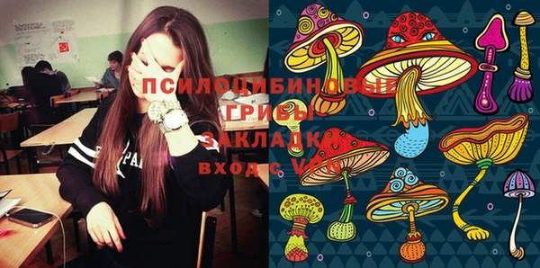 эйфоретик Алексеевка