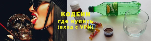 хмурый Абаза