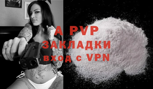 дживик Няндома