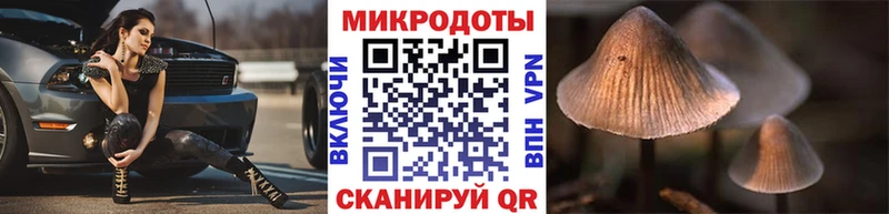 Псилоцибиновые грибы мицелий где продают Среднеколымск